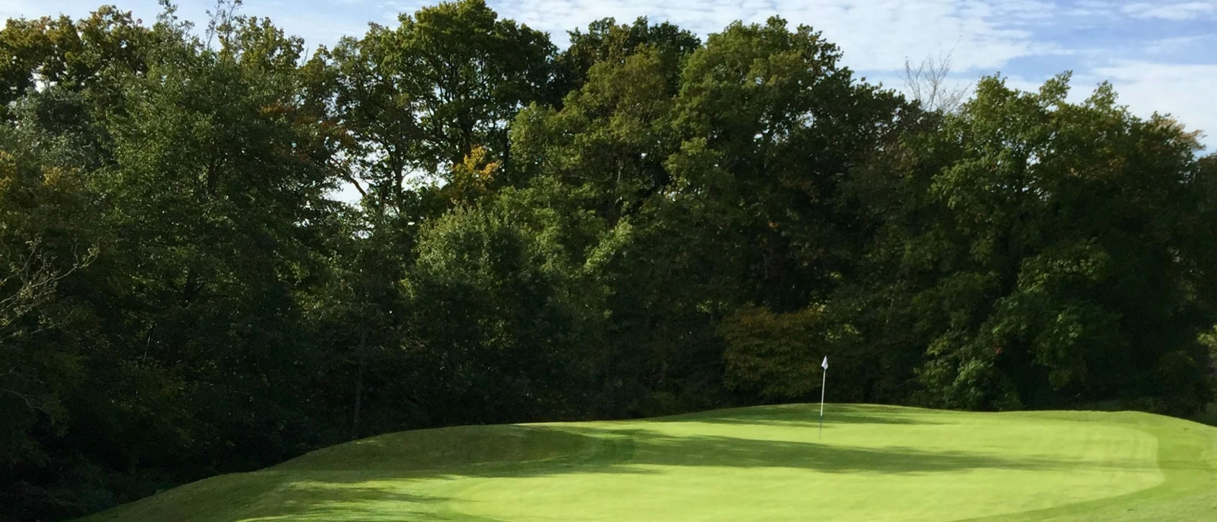 Drivers Sales 19 Drivers Sales -Drivers Sales 861 1513687807 scaled 1