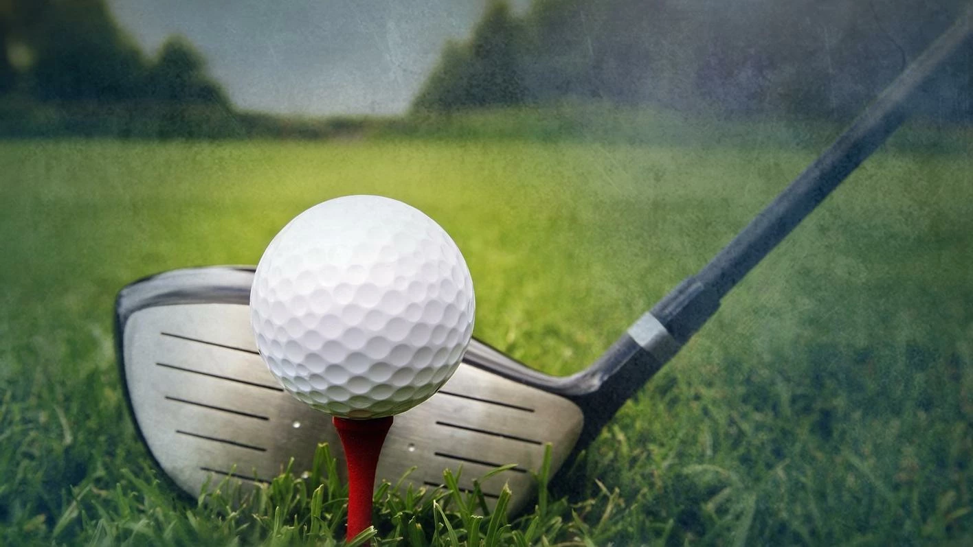 Drivers Sales 1 Drivers Sales -Drivers Sales crop